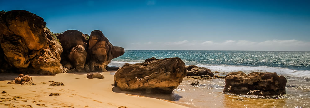 beach with rocks